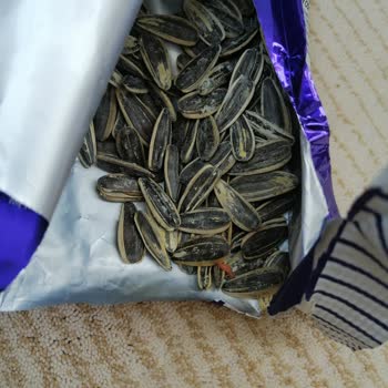 Ay Çekirdeği Paketinden Canlı Kurt Çıkmasıyla Yaşadığım Hayal Kırıklığı