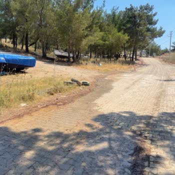 Su Borusu Patlağına Üç Gündür Müdahale Edilmiyor, Mağduriyet Artıyor