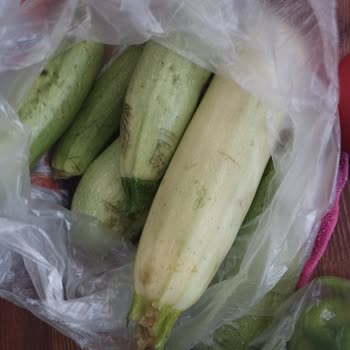 Migros'tan Eksik Ve Çürük Ürün Teslimatı