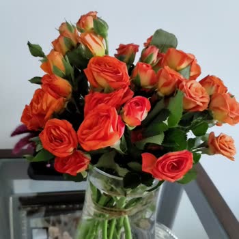 Çiçek Sepeti Siparişim Görselden Farklı Ve Eksik Teslim Edildi Çözüm Sunulmuyor