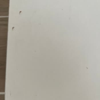 Aldığım Kitaplık Kırık Ve Kirli Geldi, Denetimsizlikten Şikayetçiyim