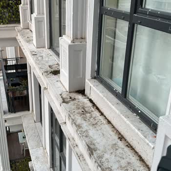 Zeray Effect Sitesinde Aidat Ve Yönetim Sorunları