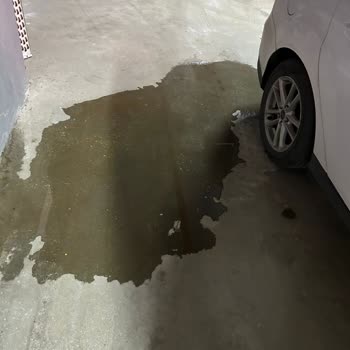 Zeray Effect Sitesinde Aidat Ve Yönetim Sorunları