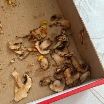 Soğuk Pizza Ve Yanlış Dondurma Gönderimi Hayal Kırıklığı Yarattı