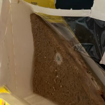 Migros'tan Küflü Ve Kötü Muhafaza Edilmiş Ürün Şoku