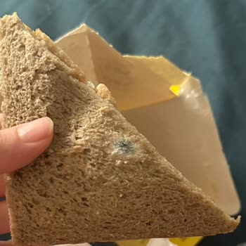 Migros'tan Küflü Ve Kötü Muhafaza Edilmiş Ürün Şoku