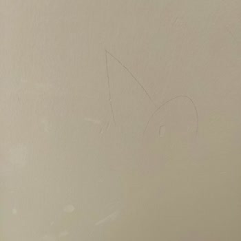 Aldığım Boya Beklentimi Karşılamadı, Büyük Maddi Zarar Yaşadım