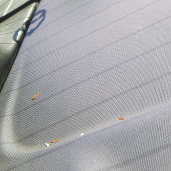 Carwax Reklamda Vaat Edilen Buharlı Koltuk Temizliği Gerçekleştirilmedi