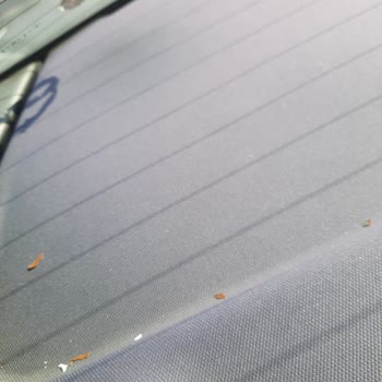 Carwax Reklamda Vaat Edilen Buharlı Koltuk Temizliği Gerçekleştirilmedi