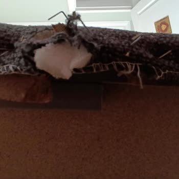 16 Bin Liralık Yatak Seti Kırık Ve Yırtık Teslim Edildi İade İstiyorum