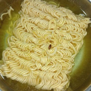 Aldığım Noodle'ın İçinden Böcek Çıktı, Sağlığım Tehlikeye Girdi