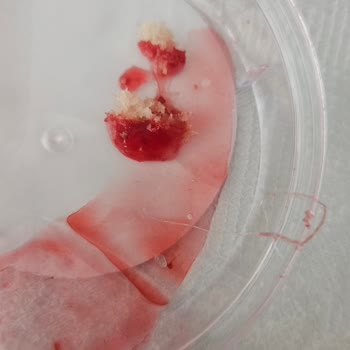 Özsüt Tatlısında Yabancı Maddeyle Karşılaştım