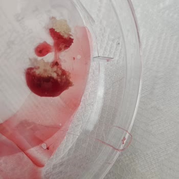 Özsüt Tatlısında Yabancı Maddeyle Karşılaştım