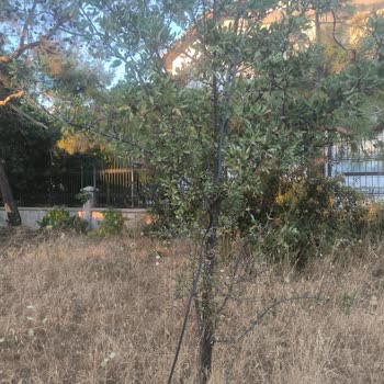 Bir Haftadır Kesik Olan İnternet Ve Çözüm Eksikliği