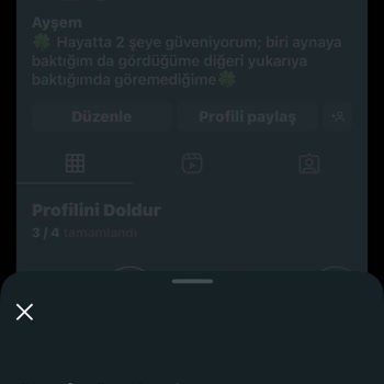 Instagram Hesabım Sürekli Şifre Değiştirme Döngüsüne Girdi, Erişim Sağlayamıyorum
