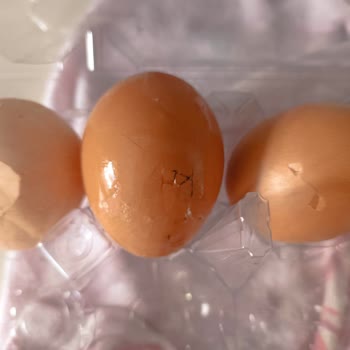 Kırık Yumurta Teslimatı Sonrası İlgisiz Müşteri Hizmetleriyle Mağduriyet Yaşadım