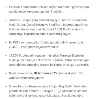 Kampanya Şartlarını Yerine Getirmeme Ve Promosyonun Yatırılmaması