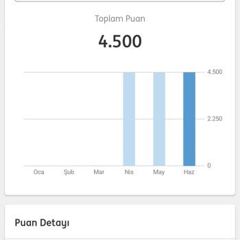 Kampanya Şartlarını Yerine Getirmeme Ve Promosyonun Yatırılmaması