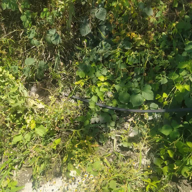 Üç Haftadır Süren İnternet Kesintisine Çözüm Bekliyoruz