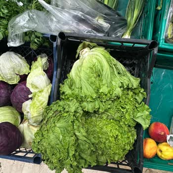 Sebze Reyonunda Hijyen Ve Tazelik Sorunu