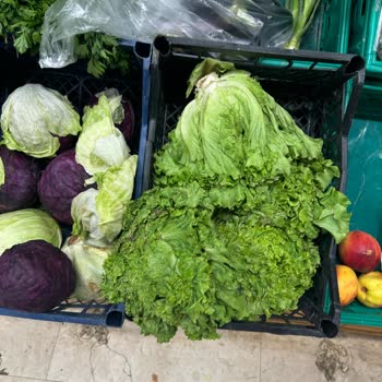 Sebze Reyonunda Hijyen Ve Tazelik Sorunu