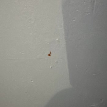 Eksik Ve İlgisiz Temizlik Hizmeti