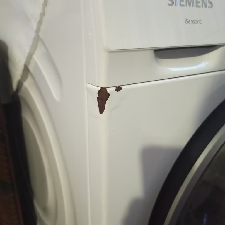 Siemens Ev Aletleri İQ300 Çamaşır Makinesinde Boya Atma Ve Paslanma Sorunu