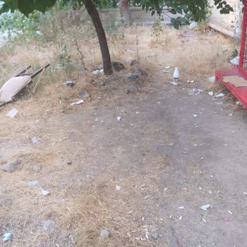 Şok Markette Sürekli Yaşanan Hizmet Ve Temizlik Sorunları