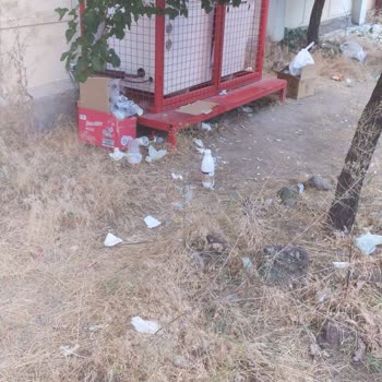 Şok Markette Sürekli Yaşanan Hizmet Ve Temizlik Sorunları