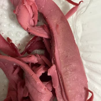 Buzdolabında Bozulan Salam Karşısında Hayal Kırıklığı