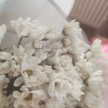 Sipariş Edilen Çiçeklerin Beklentileri Karşılamaması