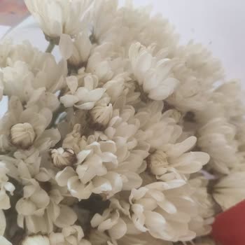 Sipariş Edilen Çiçeklerin Beklentileri Karşılamaması