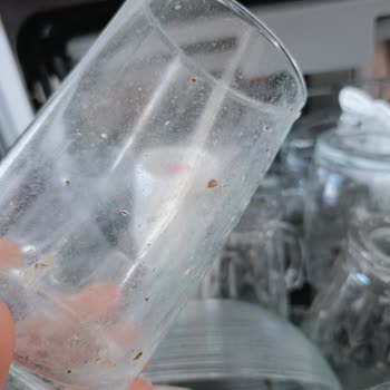 Yeni Bulaşık Makinesinde Sürekli Kirli Çıkan Bardak Sorunu Çözülmüyor