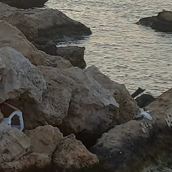 Hayalet Otel Ve İlgisiz Tur Şirketiyle Hayal Kırıklığı