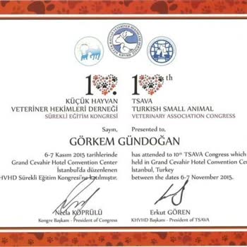 Ödeme Sonrası İletişim Kesildi, Para İadesi Yapılmıyor