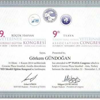 Ödeme Sonrası İletişim Kesildi, Para İadesi Yapılmıyor