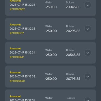 Hesabım Ele Geçirildi Param Başka Birine Aktarıldı