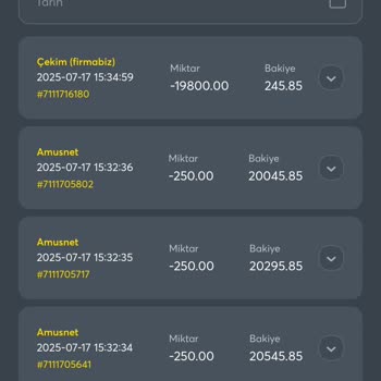 Hesabım Ele Geçirildi Param Başka Birine Aktarıldı