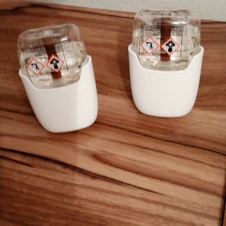 Raid Prize Takılan Sinek İlacı Evi Isıttı İşe Yaramadı Param Boşa Gitti