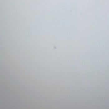 TCL Televizyon Yeni Alınan Televizyonumda Ölü Piksel Sorunu Ve Yetersiz Servis Desteği