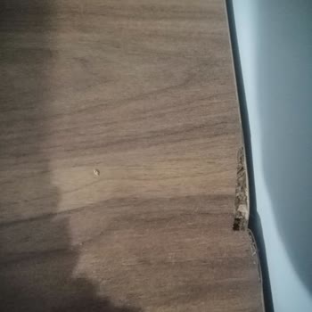 Kelebek Mobilya'dan Aldığım Tüm Ürünler Hasarlı Ve Kırık Geldi