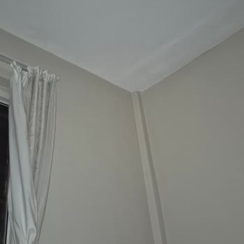 Raid Sivrisinek Kovucu Etkisiz Kaldı, Mağdur Olduk