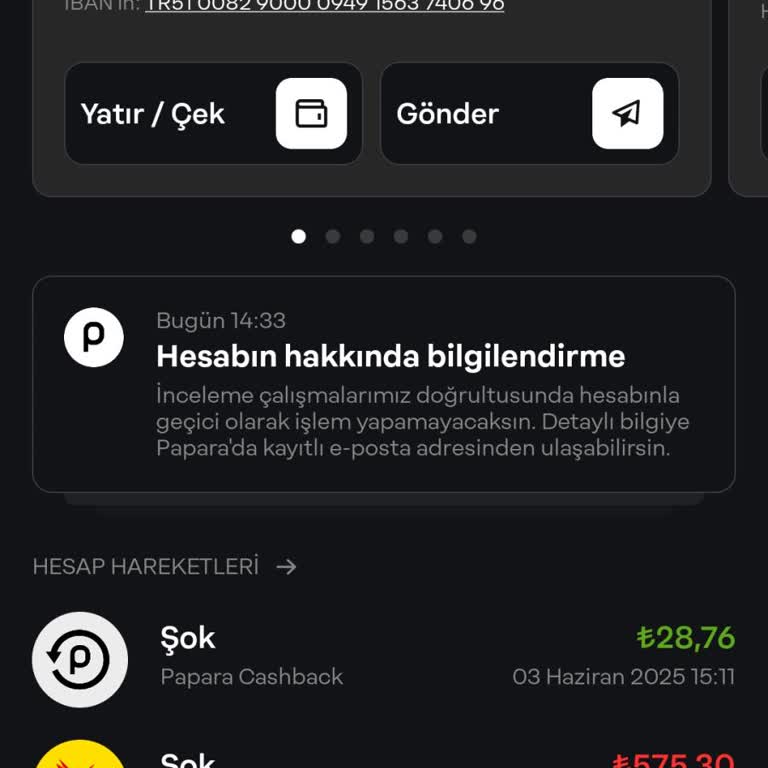 Papara Hesabım Bir Buçuk Aydır İncelemede