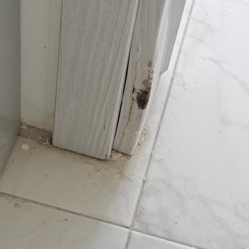 Satın Aldığım Dairenin Teslim Edilmemesi Ve Kötü İnşaat Kalitesi