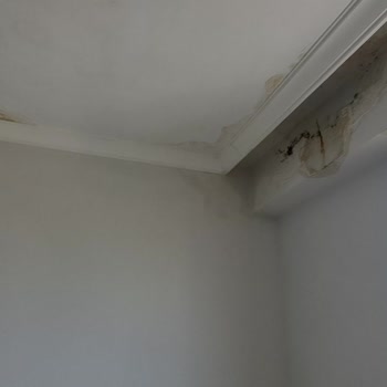 Satın Aldığım Dairenin Teslim Edilmemesi Ve Kötü İnşaat Kalitesi