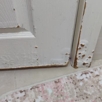 Telafi Edilmeyen Hizmet, Zarar Gören Eşyalar Ve Saygısız Davranış