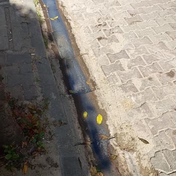 Lavabo Gideri Nedeniyle Sokağımızda Kötü Koku Sorunu