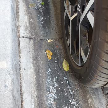 Lavabo Gideri Nedeniyle Sokağımızda Kötü Koku Sorunu