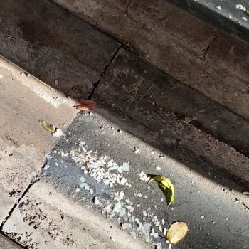 Lavabo Gideri Nedeniyle Sokağımızda Kötü Koku Sorunu