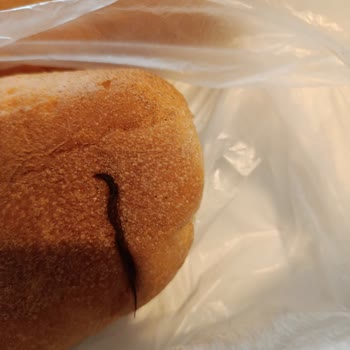 Migros Sanal Market Alışverişimde Ekmekten Saç Çıktı Yeşillikler Çürük Ve Böcekli Geldi